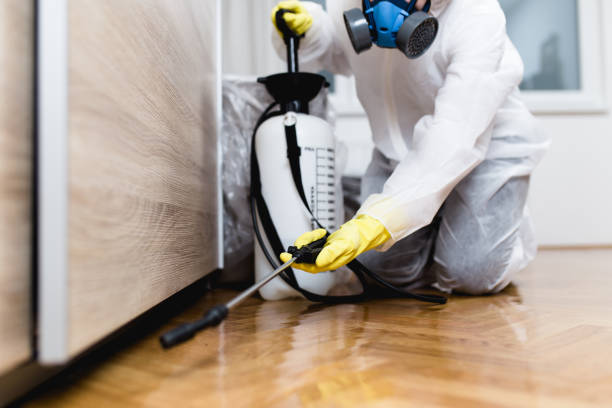 Best Affordable Pest Control Services  in Chinook, MT