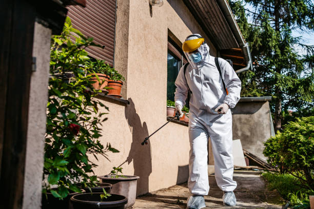 Best Cockroach Control Services  in Chinook, MT