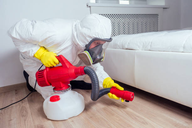 Best Termite Control Services  in Chinook, MT