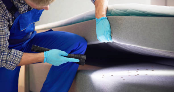 Best Residential Pest Control  in Chinook, MT