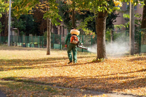 Pest Prevention Services in Chinook, MT
